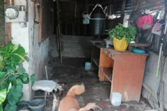 maa-for-sale4